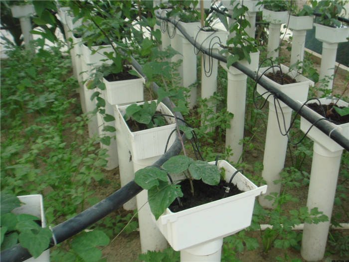 深綠公司溫室大棚內盆栽植物灌水工程