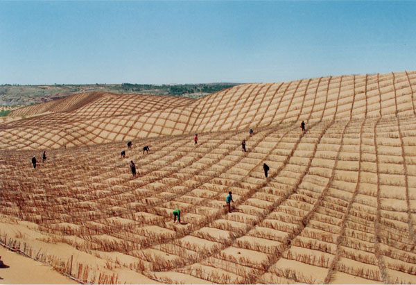 沙漠中采用高效節水灌溉模式發展農林業
